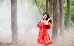 飞极速在线电影在线观看